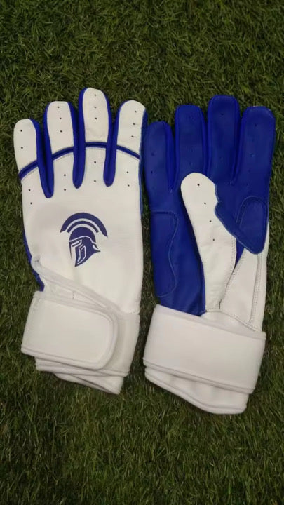 Long Cuff Batting Gloves